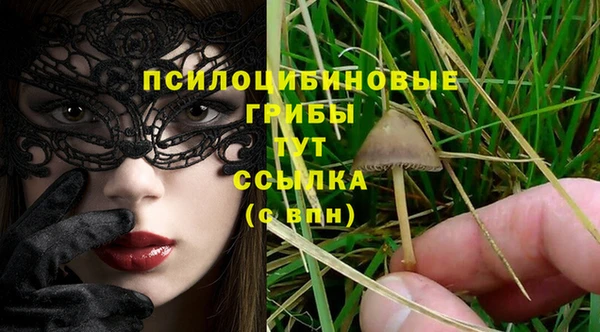 мескалин Алексин