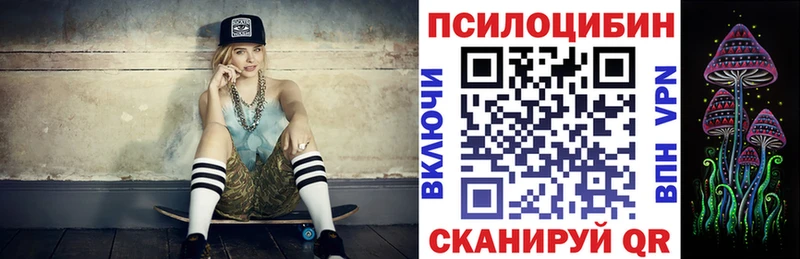 Псилоцибиновые грибы мицелий  blacksprut рабочий сайт  Камышин 