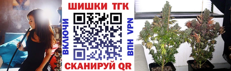 купить наркотик  Камышин  Конопля семена 